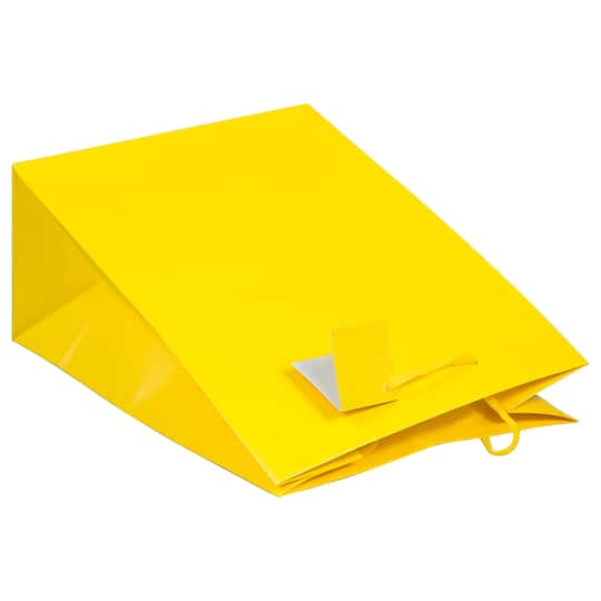 JAM Paper Medium Gift Bags with Rope Handles